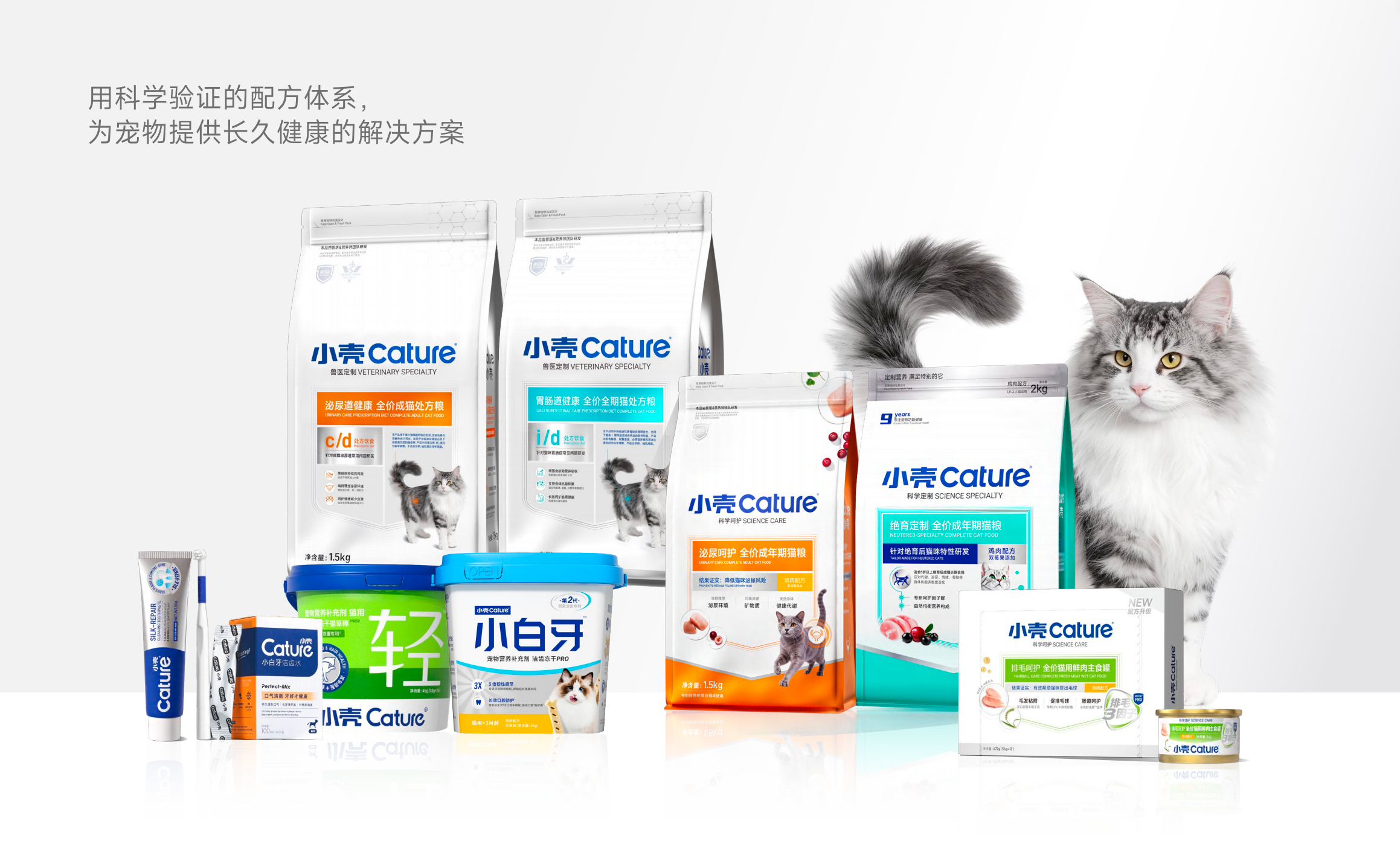 小壳 Cature项目视觉