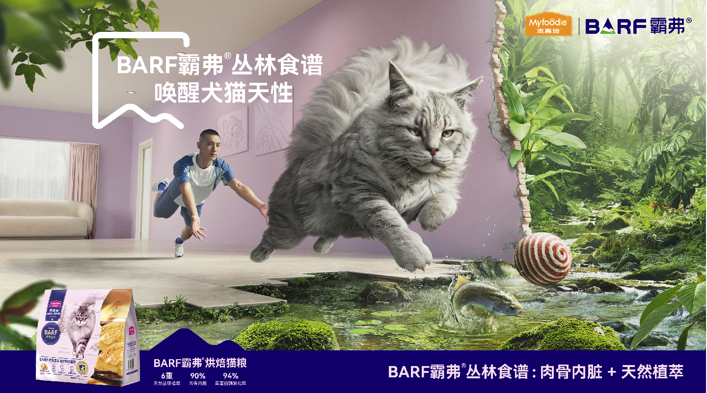BARF / 霸弗项目视觉